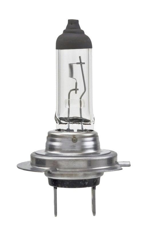 Hella Turn Signal Light Bulb H7 100Wtb - H7 100WTB