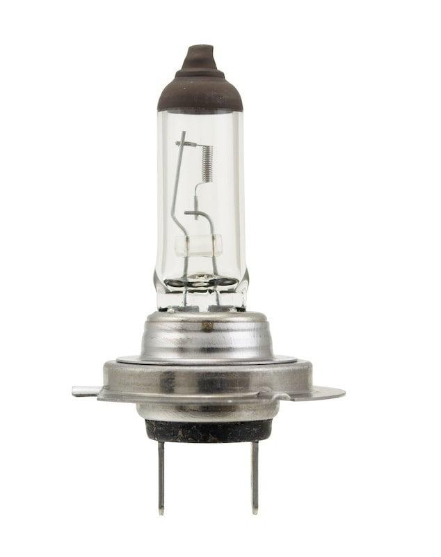 Hella Multi-Purpose Light Bulb - H7 70W