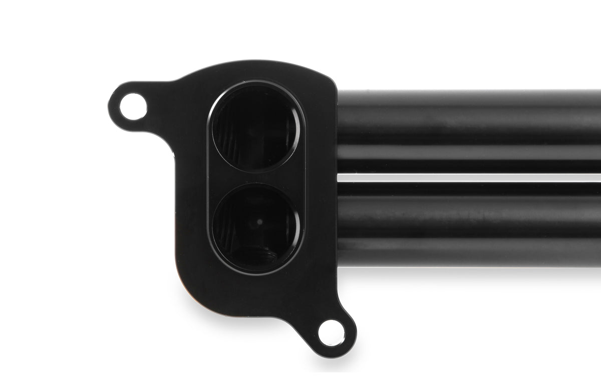 hemi0005erl_03.jpg