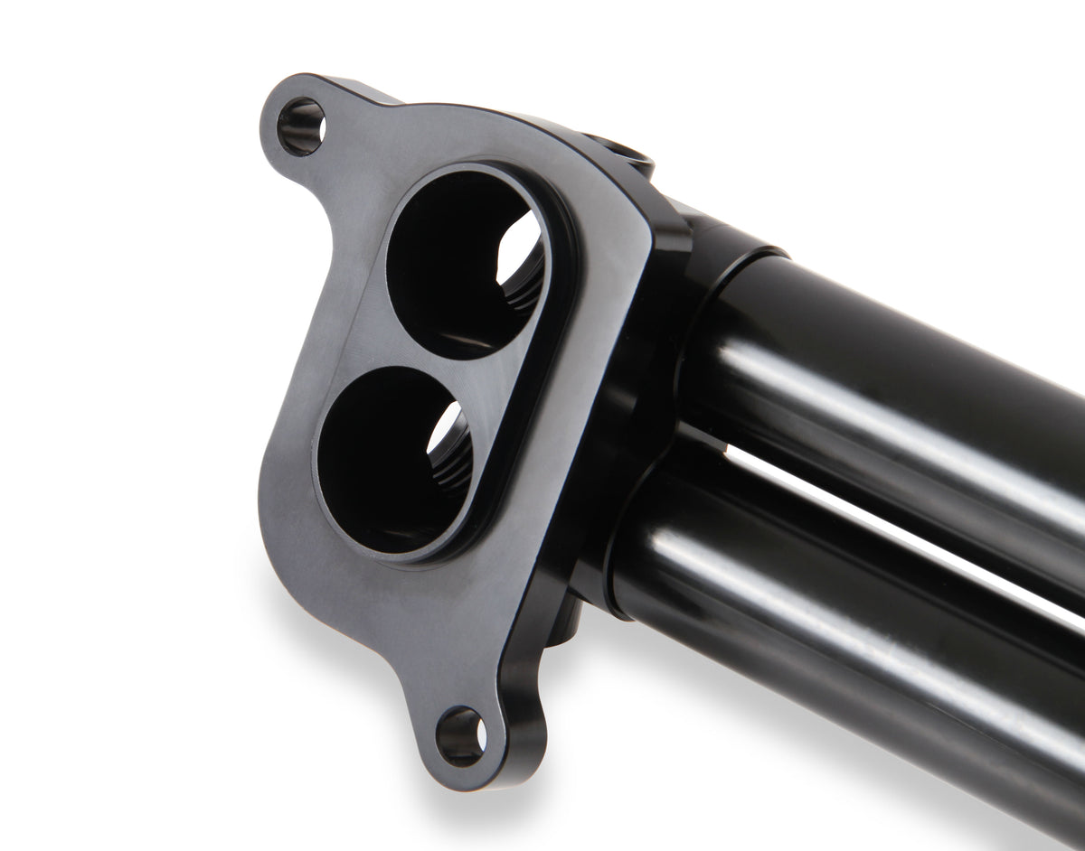 hemi0005erl_09.jpg
