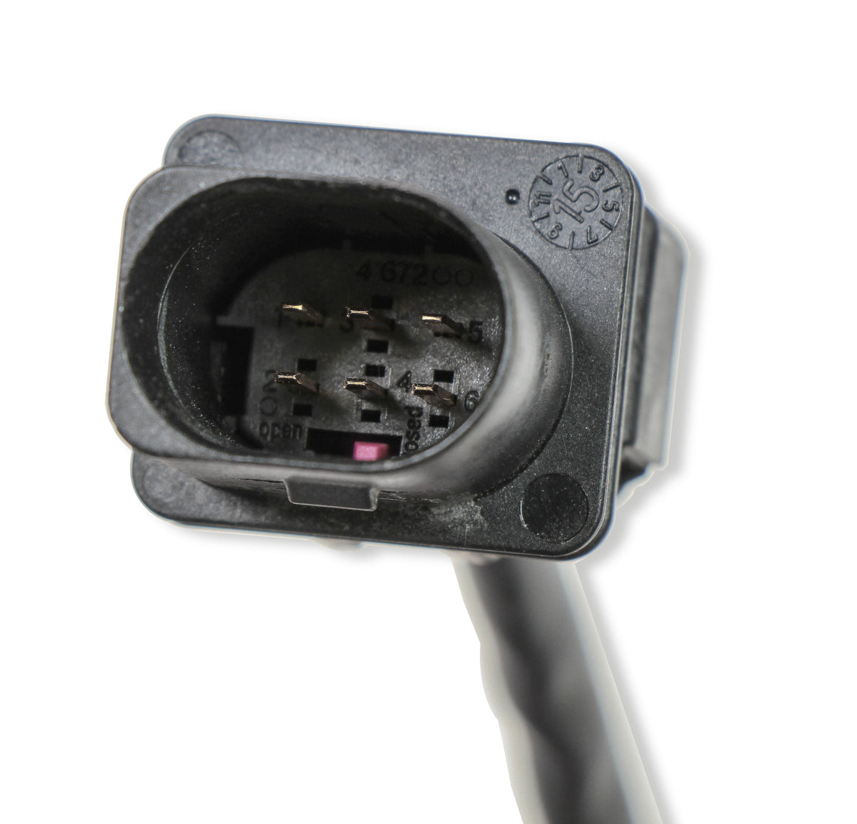 holleywb02plug_03.jpg