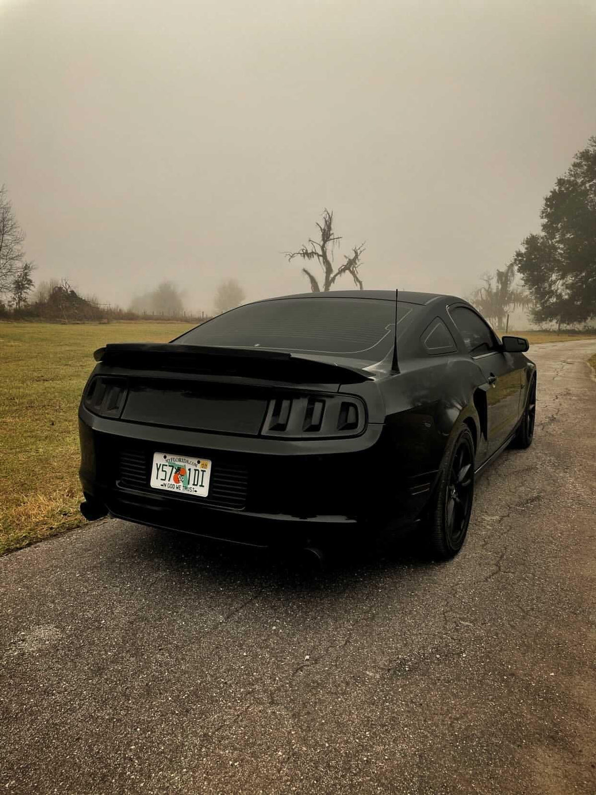 Anchor Room 13FM_T 2013-2014 Mustang Tail Light Lens Complete Vinyl Tint
