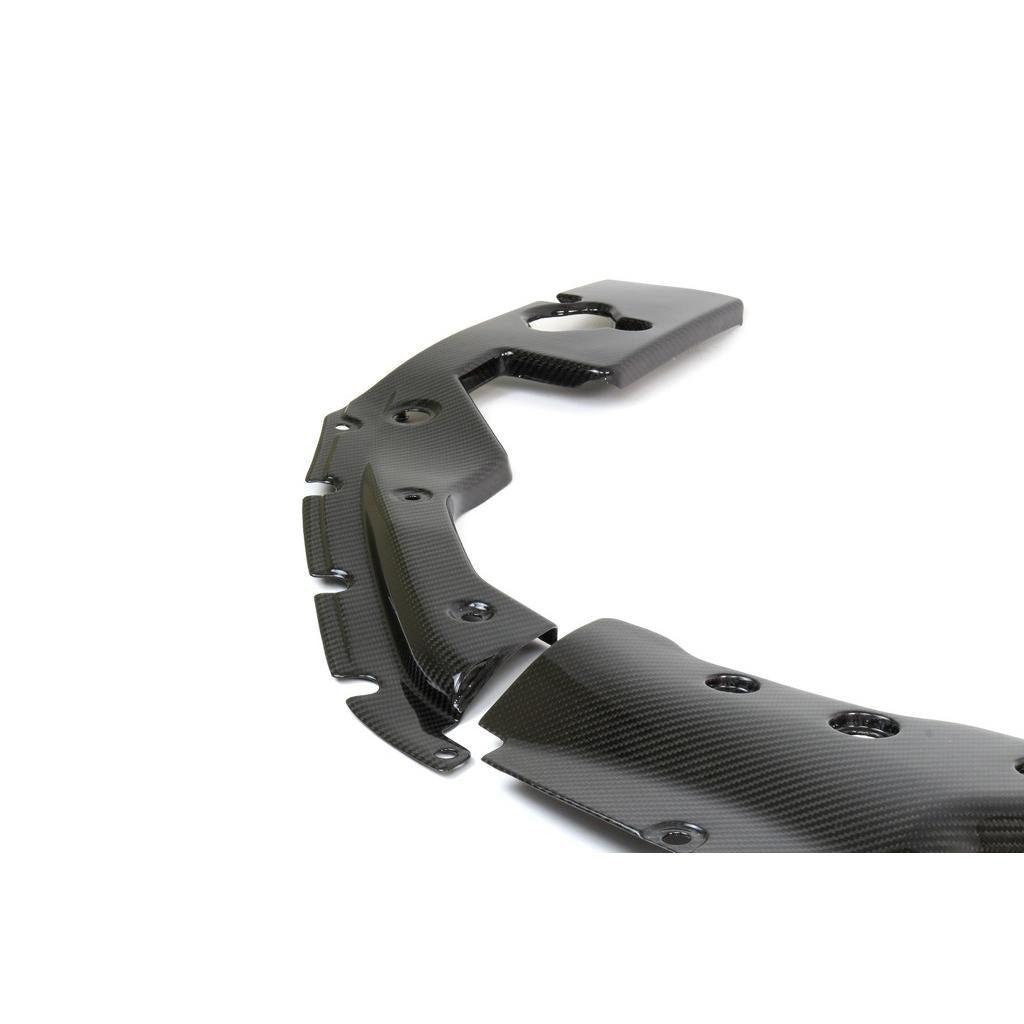 APR Carbon Fiber Cooling Plate Kit (2017-up Type R) - CF-917022