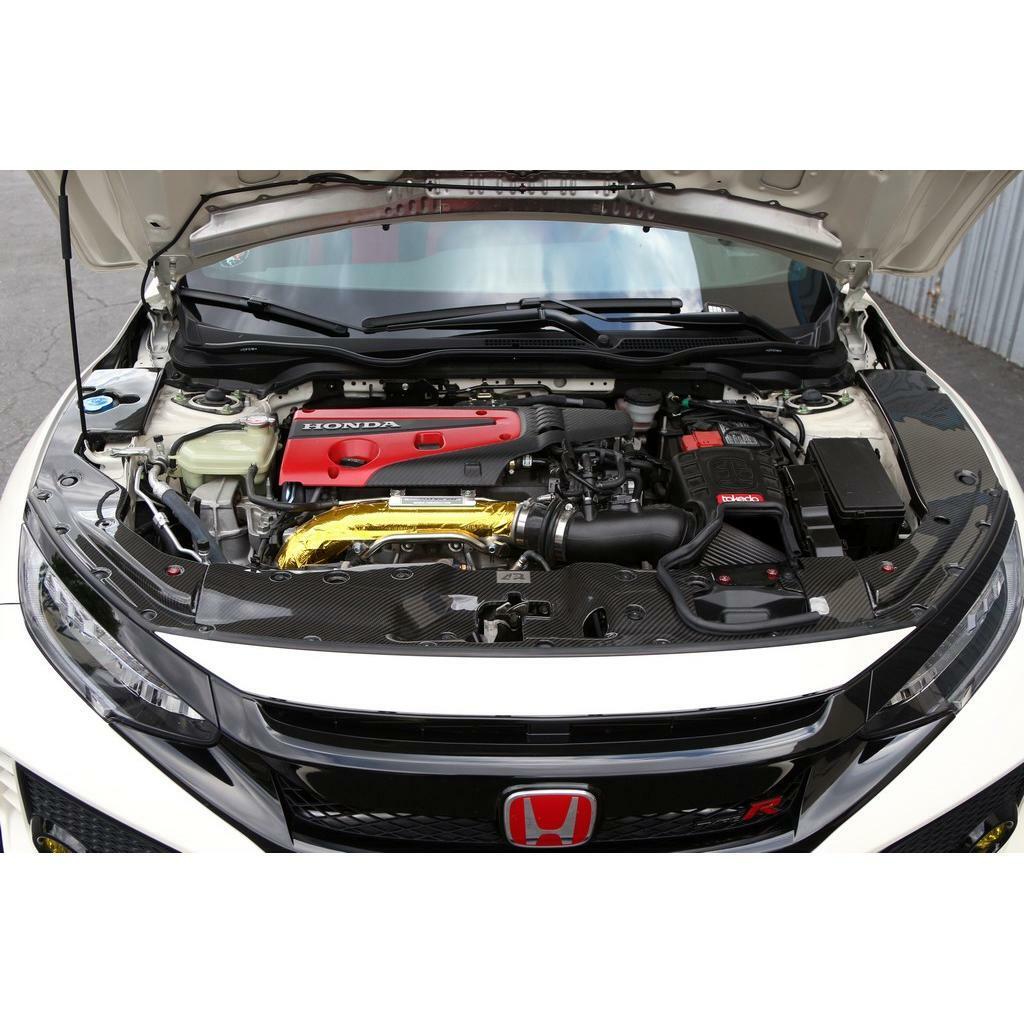 APR Carbon Fiber Cooling Plate Kit (2017-up Type R) - CF-917022