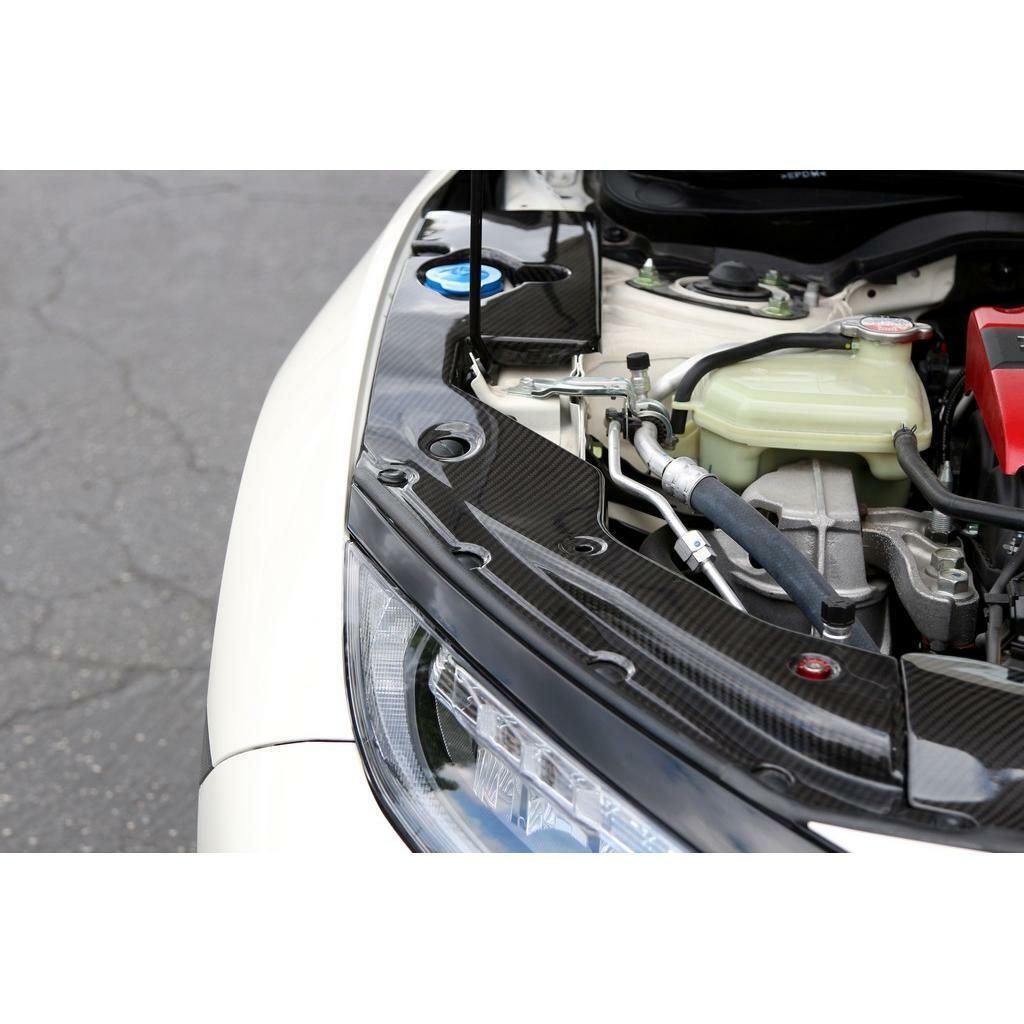 APR Carbon Fiber Cooling Plate Kit (2017-up Type R) - CF-917022