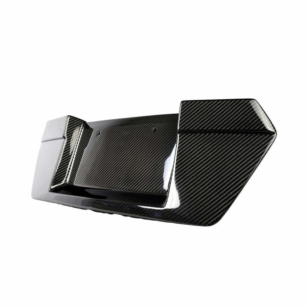 APR Carbon Fiber License Plate Backing (2020-2021 Corvette C8) - CBX-C8LIC