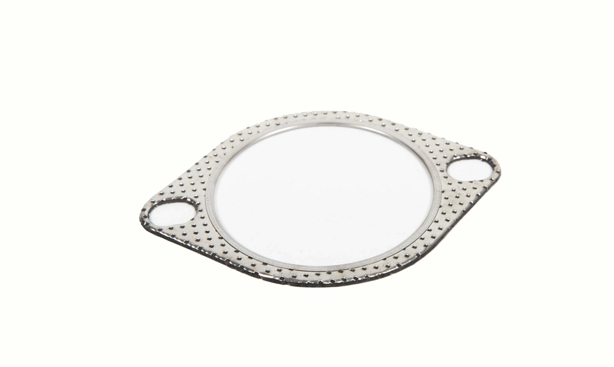 CPE 3" Stainless Gasket  - G2M300