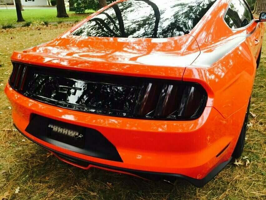Anchor Room 2015-2017 Mustang Rear Vinyl Tint Kit