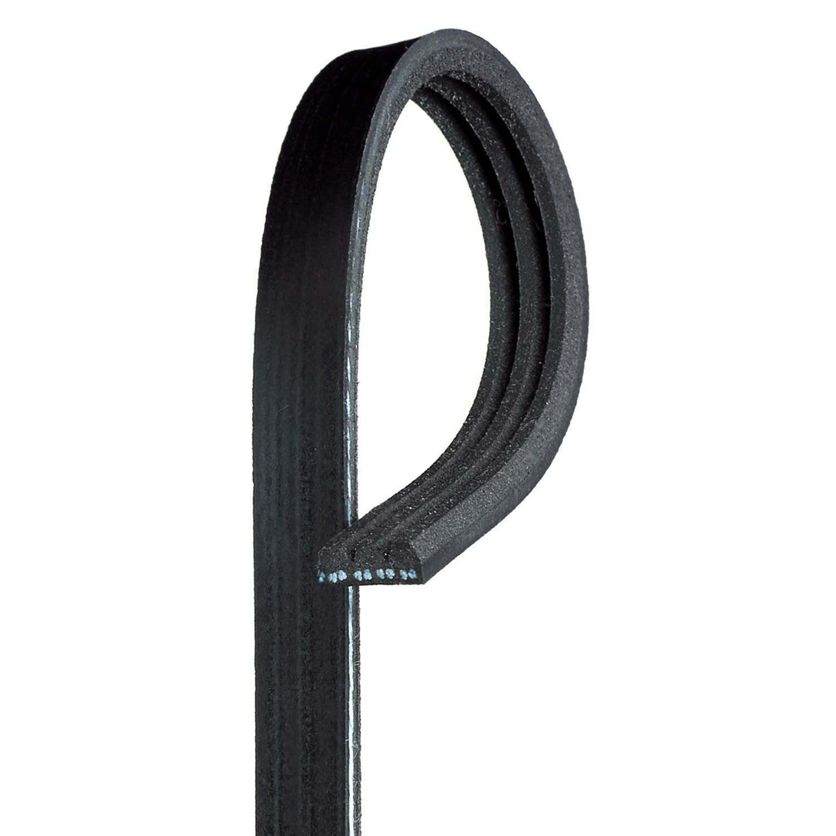 Gates  Carrier, Maxima 1000, , W.P. - K030316