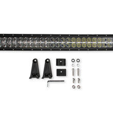 lb40-bel_011921.jpg