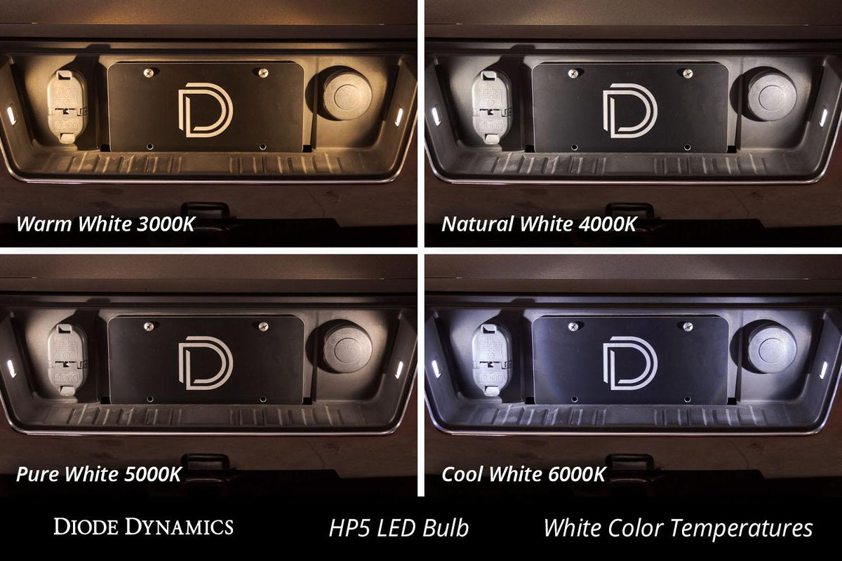 Diode Dynamics - DD0029P - 194 HP5 LED Pure White (pair) - DD0029P