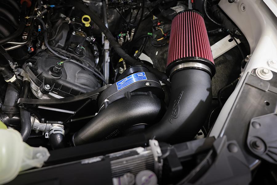ProCharger High Output Supercharger System with P-1X, 2024-2026 F-150 — Loyalty Pricing card