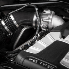 ms100129_011.jpg