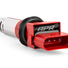 ms100244_001.jpg