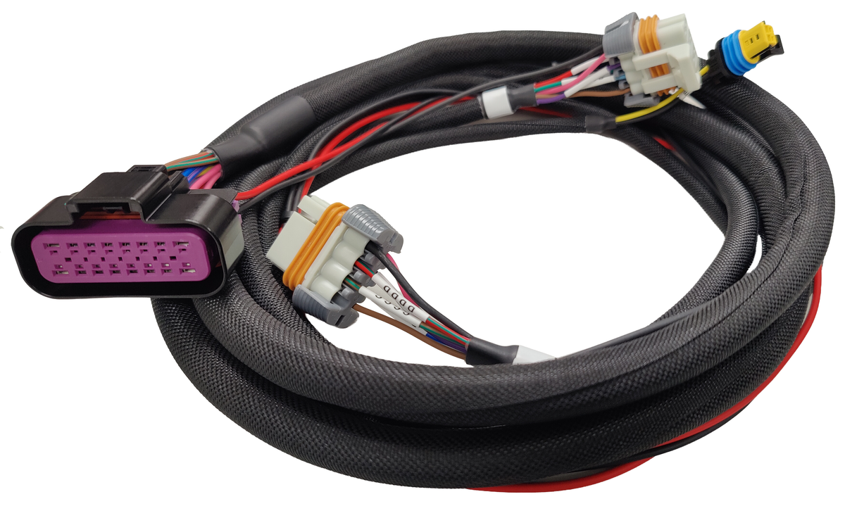 msd34593_main_harn.png