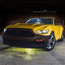 NoviStretch Front Bumper Mask (2015-2026 Mustang) - FBM655M