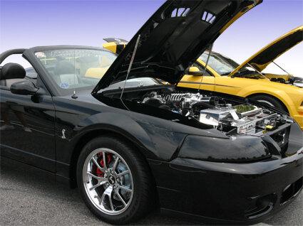 Redline Tuning 99-04 Mustang Quick Lift Hood Strut Kit