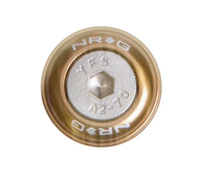 NRG Fender Washer Kit, Set of 10, Titanium, Rivets for Metal - FW-110Ti