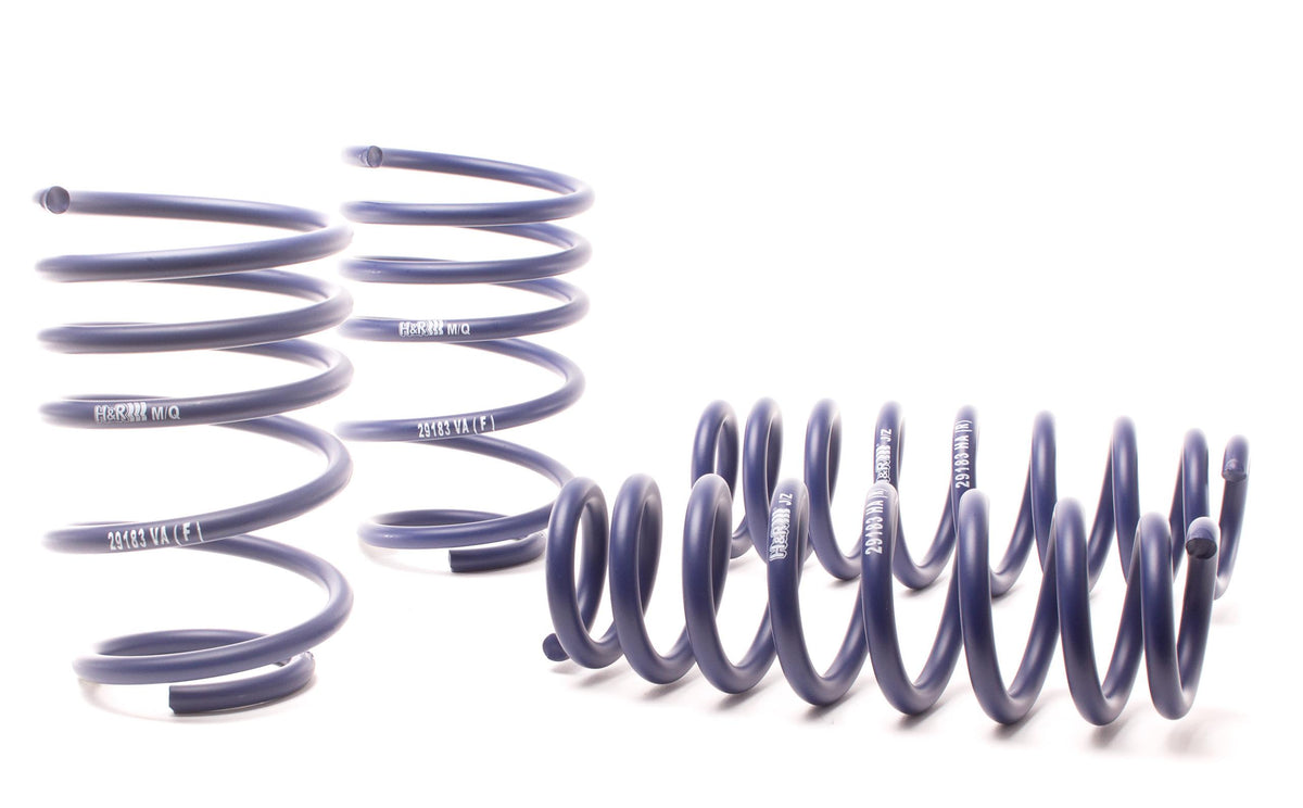 H&R Suspension Race Spring Kit - 50490-88