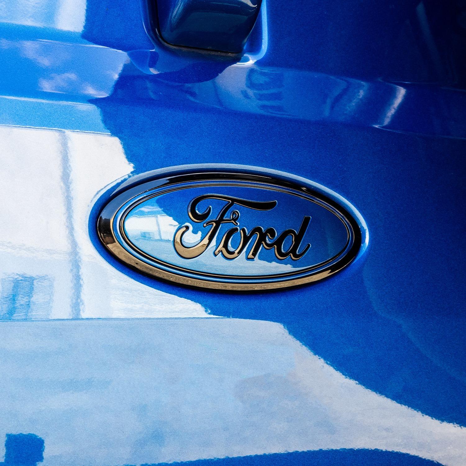 Painted Ford Oval Emblem (2021-2025 Bronco, Rear Tailgate)