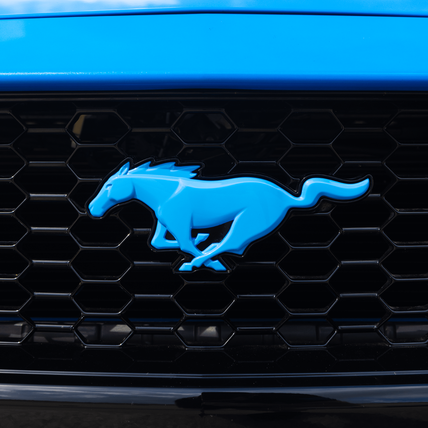 Painted Pony Emblem (2024-2026 Mustang GT / EcoBoost)