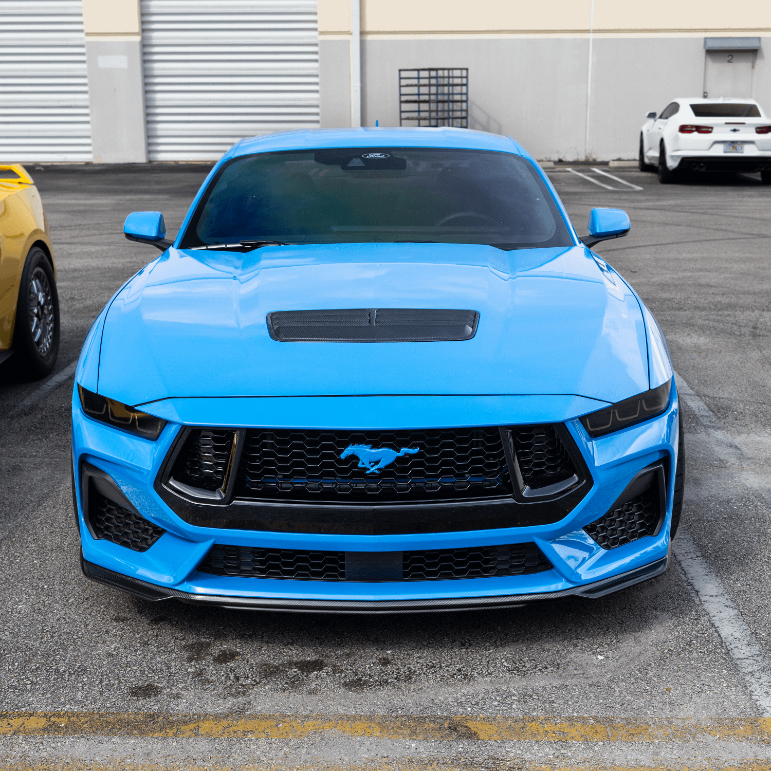 Painted Pony Emblem (2024-2026 Mustang GT / EcoBoost)
