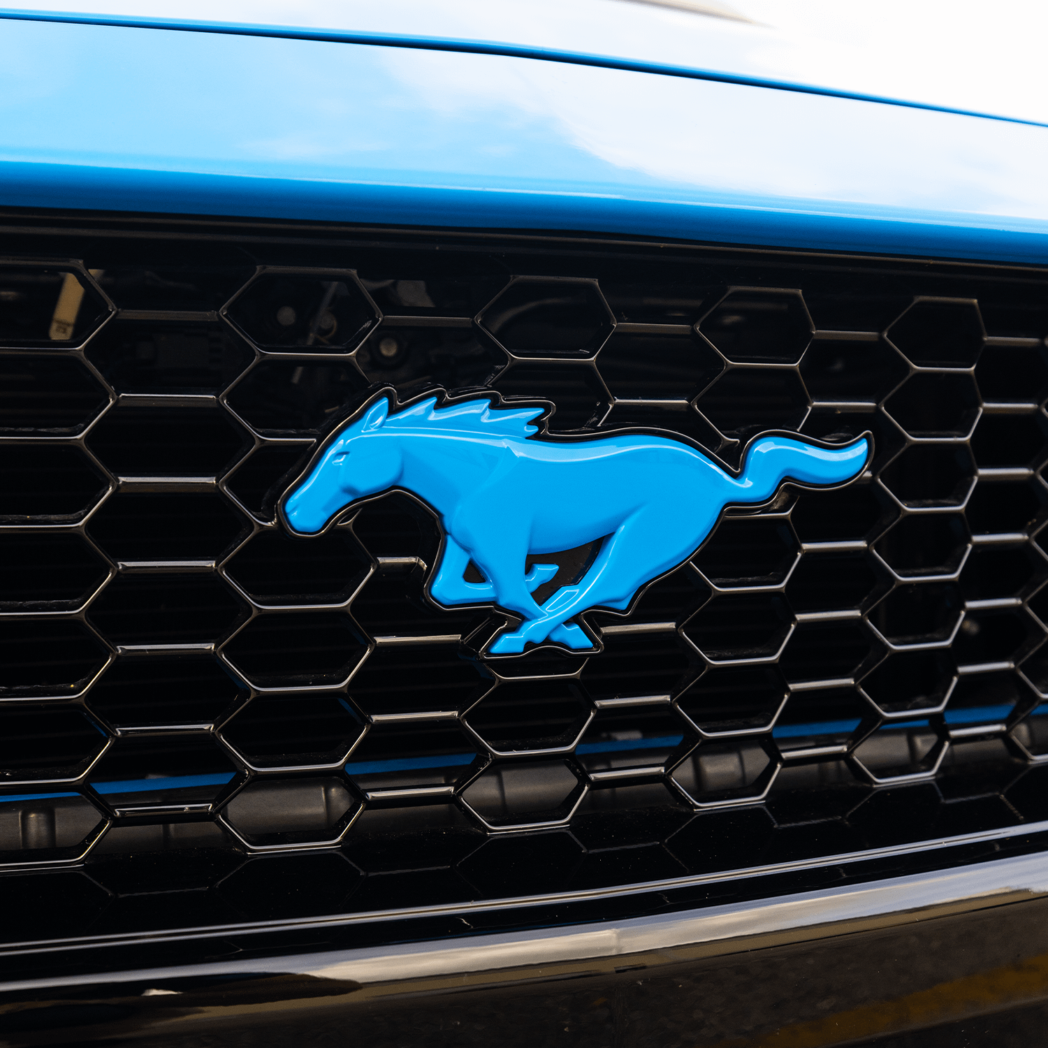 Painted Pony Emblem (2024-2026 Mustang GT / EcoBoost)