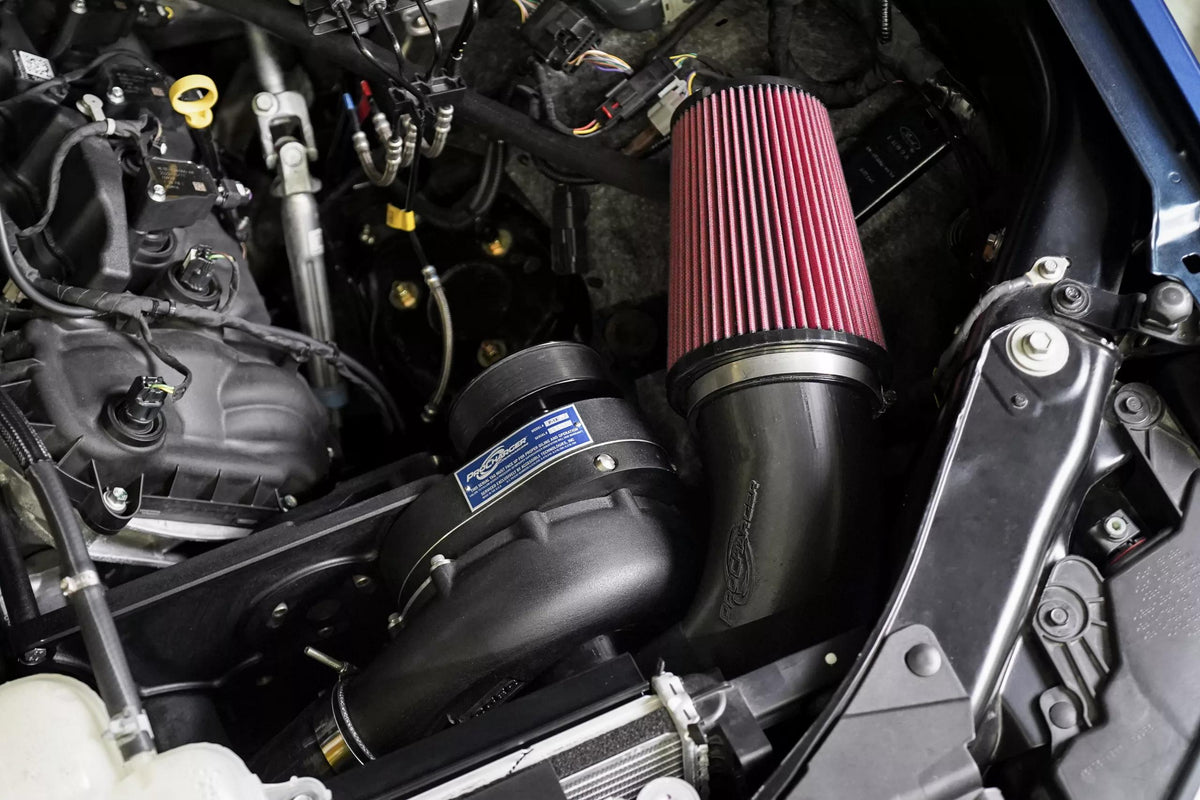 Procharger Stage II Supercharger System with P-1X (2024-2026 F150 5.0L) - 1EC511-SCI