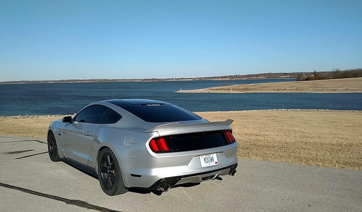 Anchor Room Saleen Style Black Out Panels (2015-2017 Mustang) - 15FM_SSBOP