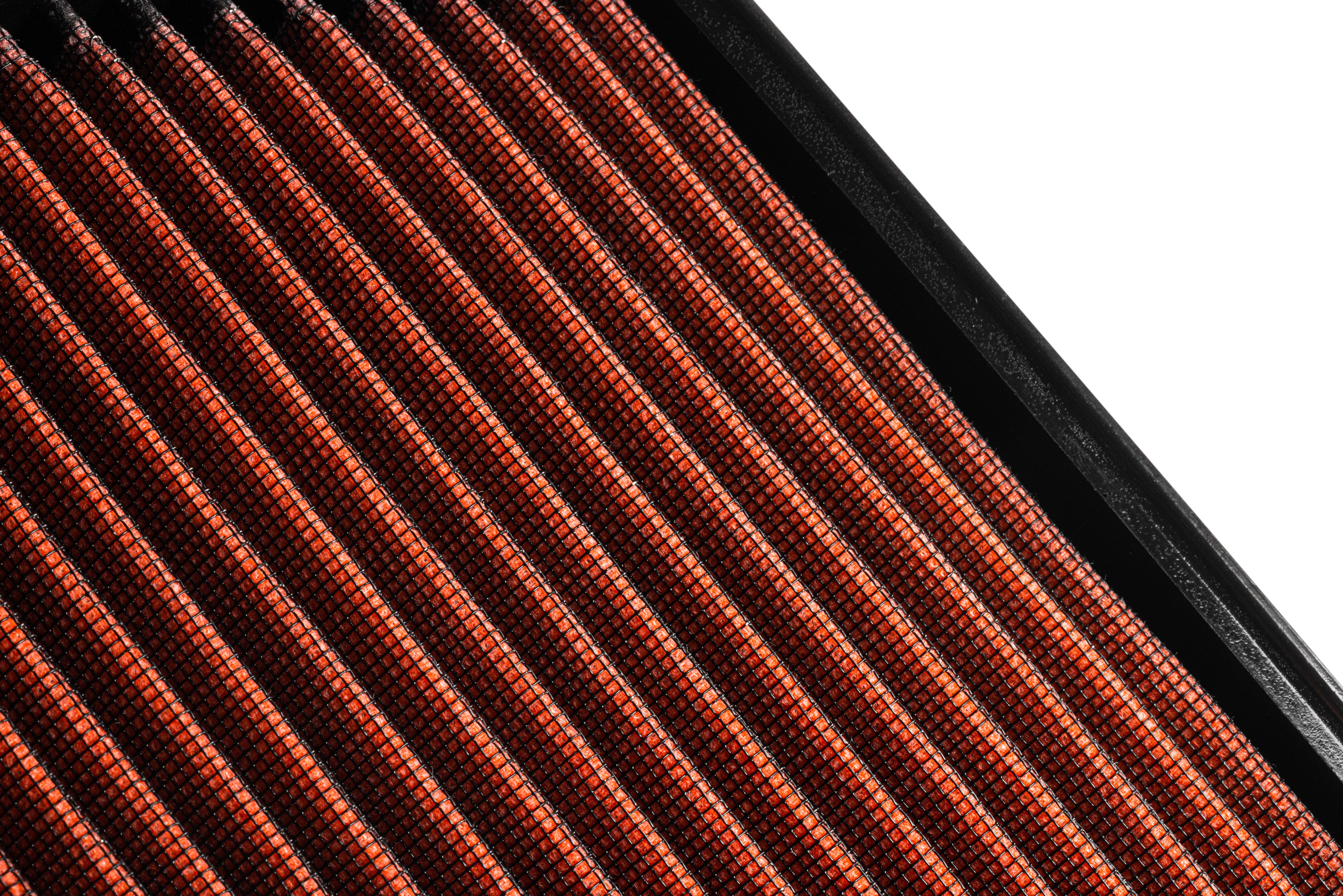 rf100023_004.jpg