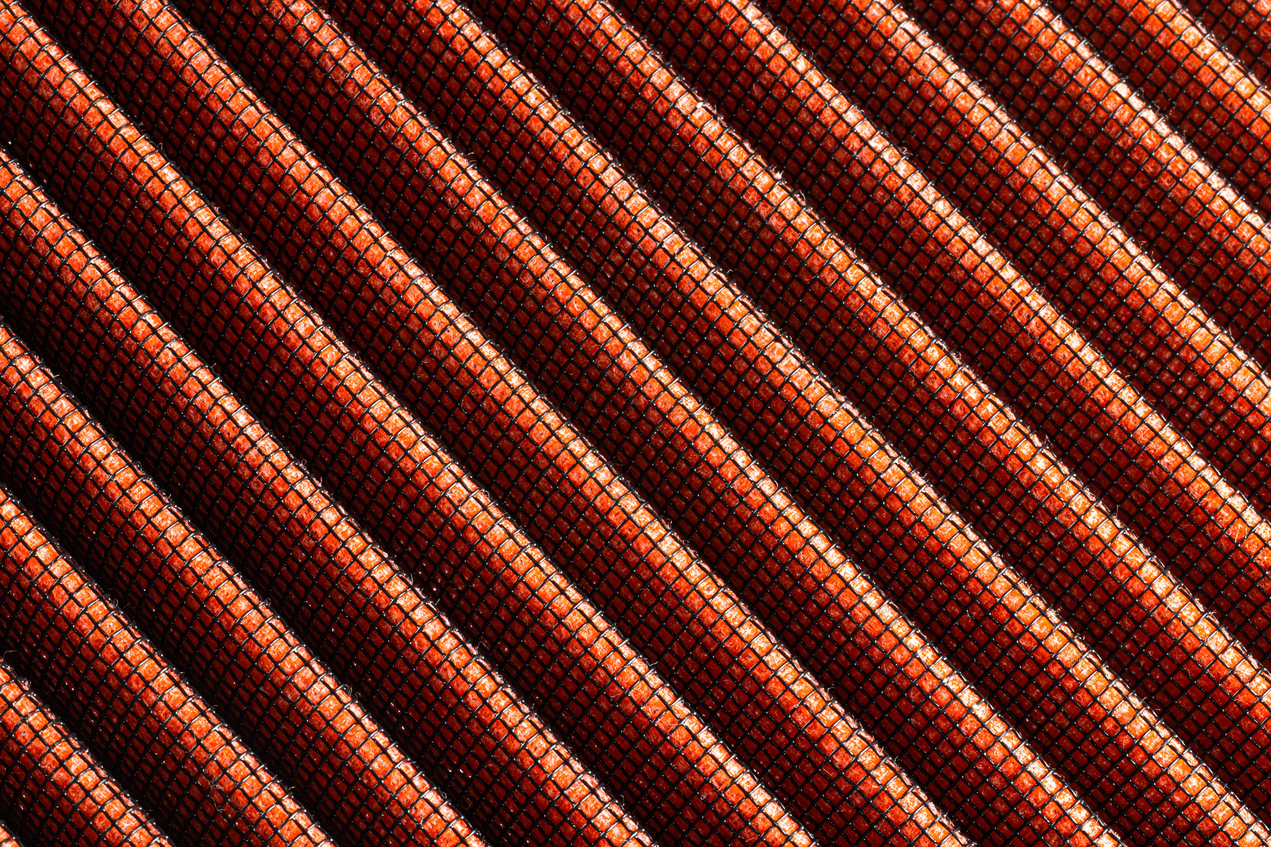 rf100023_005.jpg
