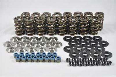 PAC Racing Springs LS Engine Kit, Dual Spring W/ Ti Retainers and Economy Seals  (Qty 1) - PAC-KS18