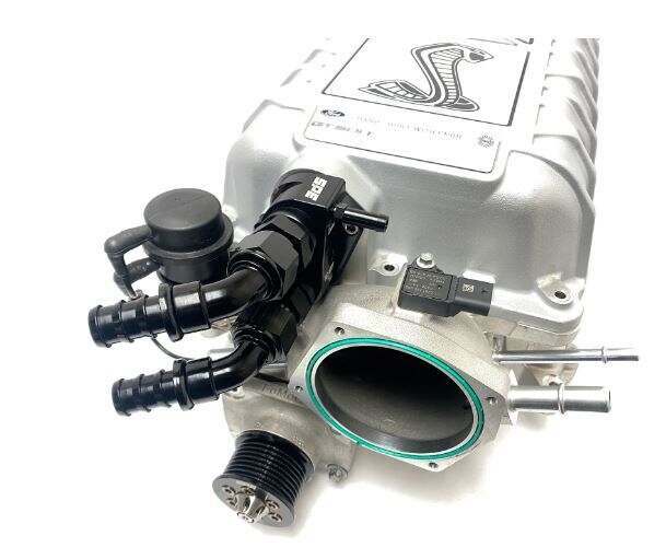 Snyder Performance Engineering Intercooler Manifold - Stock -12AN (2020+ Shelby GT500 / 2022+ F150 Raptor R) - P100122