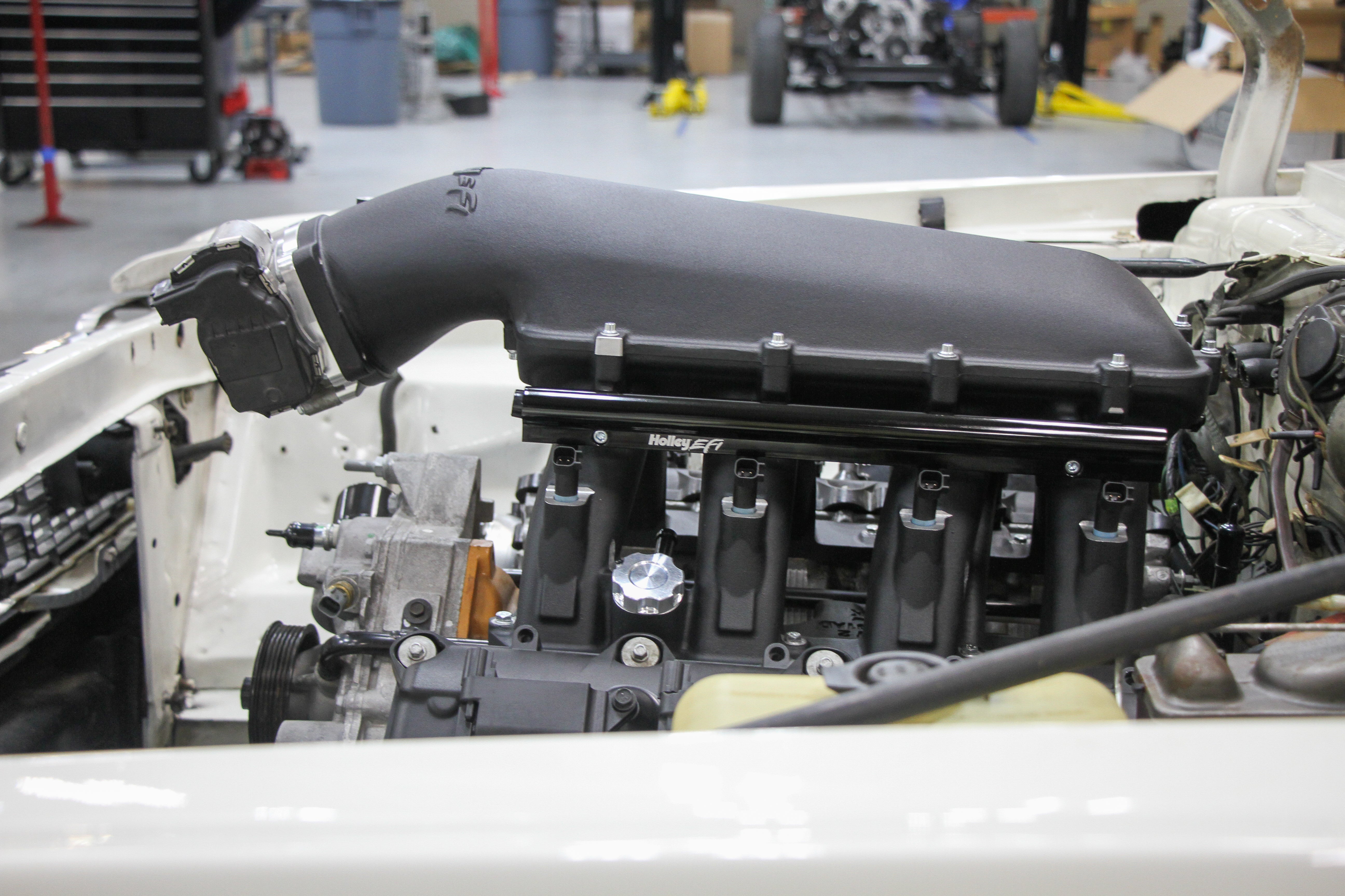 scamp_hi-ram_02.jpg