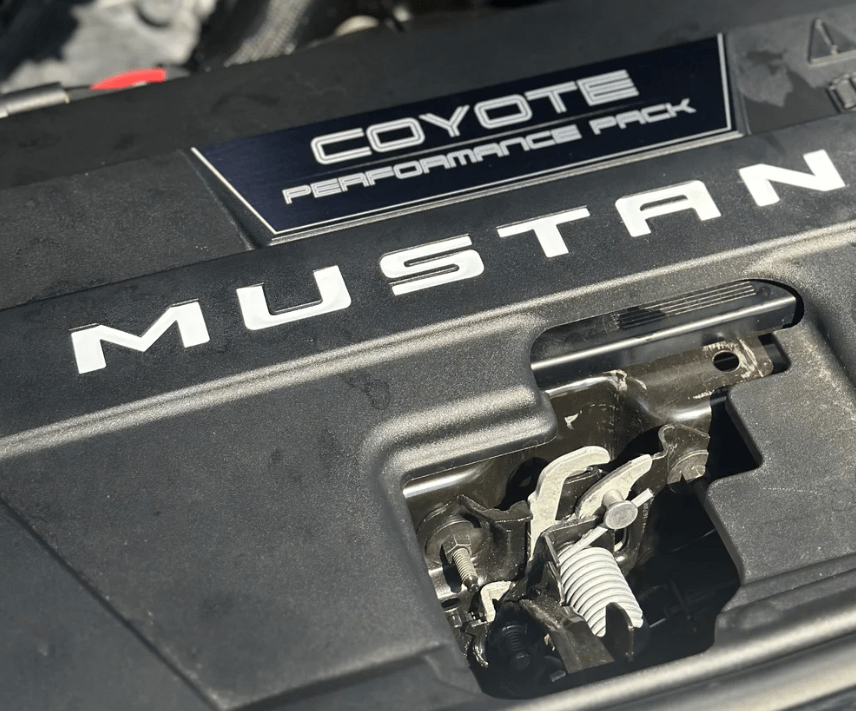 Anchor Room Radiator Shroud Vinyl Letters (2024-2026 Mustang) - 24FM_RSL