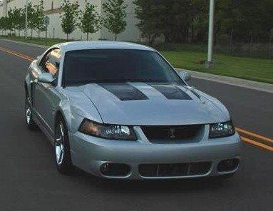 Anchor Room Complete Hood Decal Kit (2003-2004 Cobra) - Red - Wild Card  - 03FC_HFCA_R