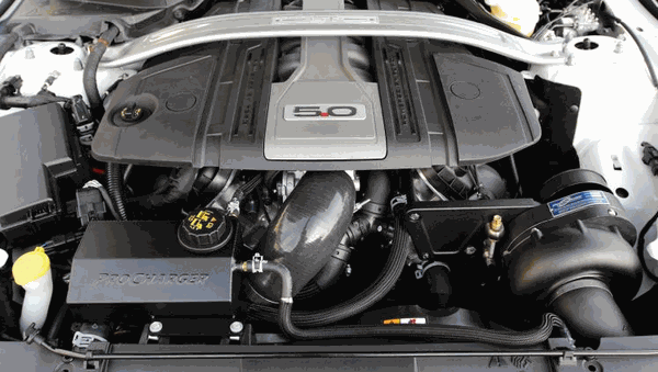 Procharger 1FW612-SCI 2018-2023 Mustang GT / Bullit / Mach 1 P1SC-1 Stage 2 Complete Kit