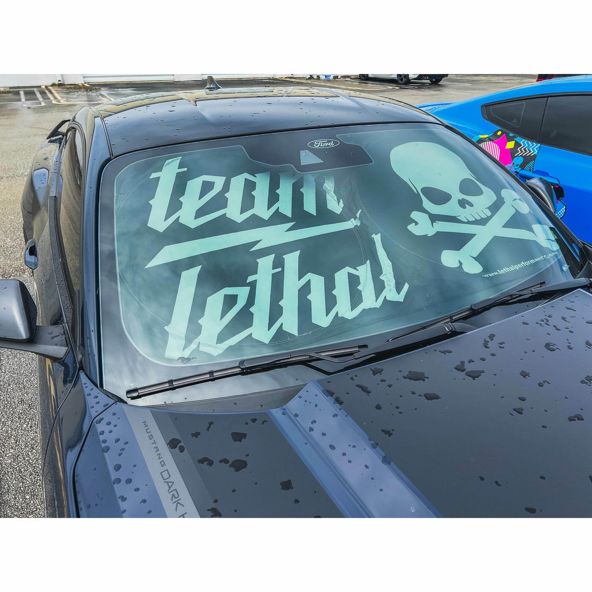 "Team Lethal" Sun Shade