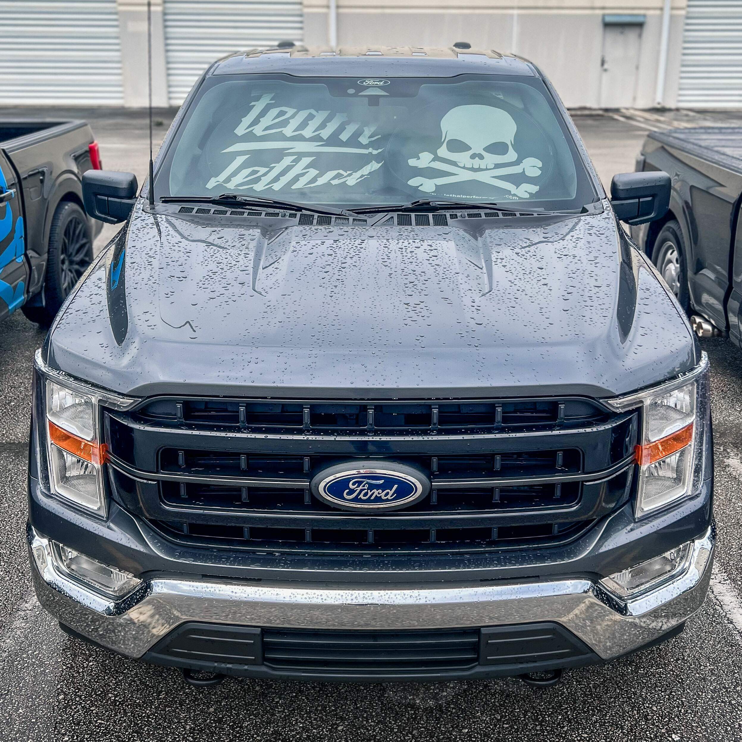 "Team Lethal" Sun Shade