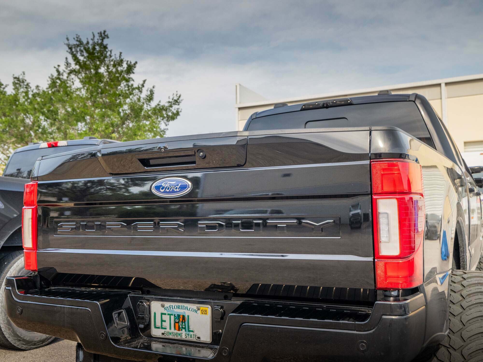 Painted Tailgate Handle Assembly (2017-2022 Superduty)