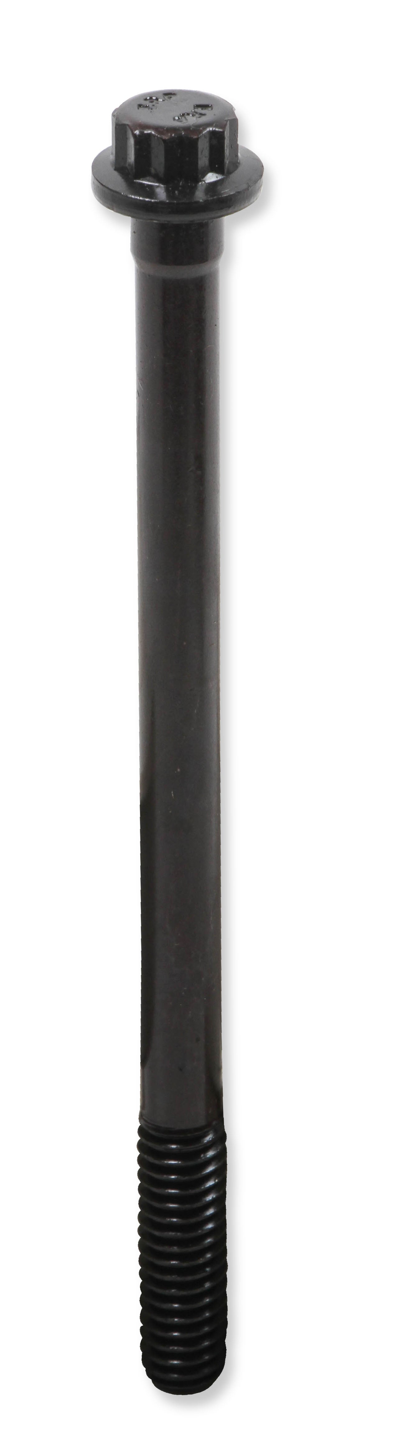 tbs-001erl_05.jpg