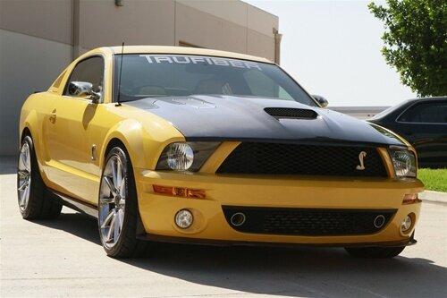 TruCarbon 2005-2009 Mustang Carbon Fiber A61 Hood