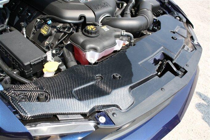 TruCarbon 2010-2012 Mustang LG46 Carbon Fiber Radiator Cover