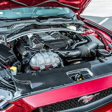TruCarbon 2015-2018 Mustang GT LG231 Carbon Fiber Radiator Cover