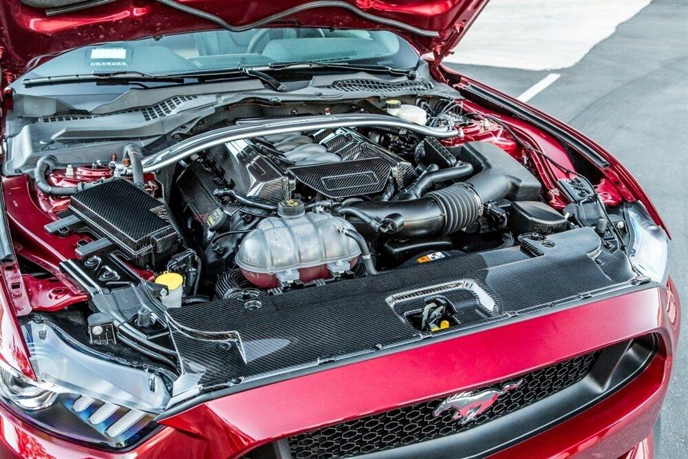 TruCarbon 2015-2018 Mustang GT LG231 Carbon Fiber Radiator Cover