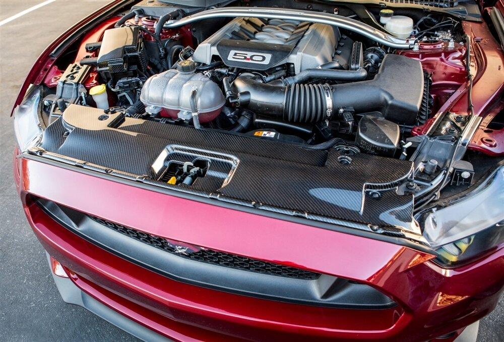 TruCarbon 2015-2018 Mustang GT LG231 Carbon Fiber Radiator Cover