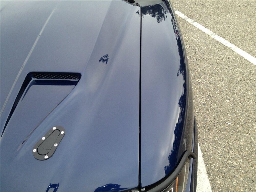TruFiber 1999-2004 Mustang Fiberglass A29 Hood