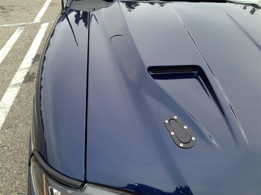 TruFiber 1999-2004 Mustang Fiberglass A29 Hood