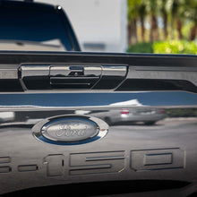 Painted Tailgate Handle Assembly (2021+ F-150)