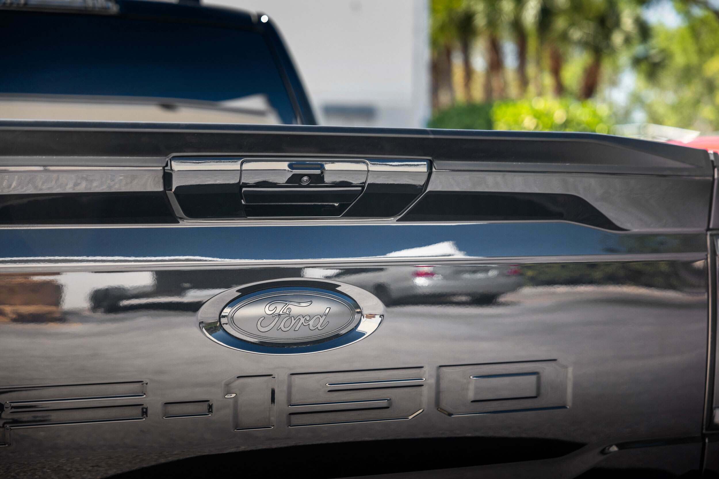 Painted Tailgate Handle Assembly (2021+ F-150)